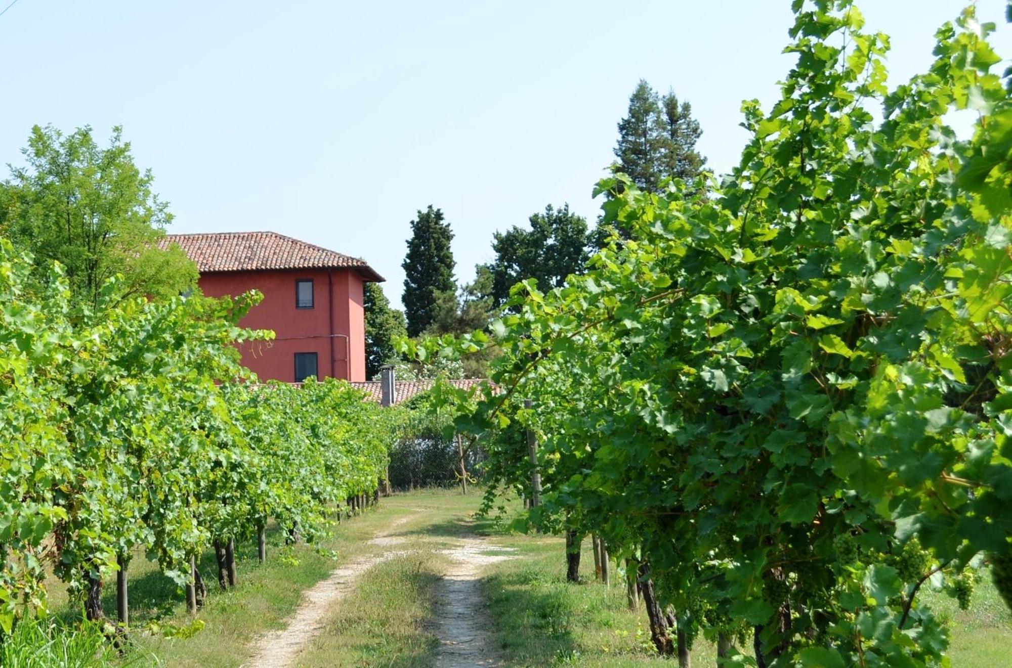 Agriturismo Isola Augusta Palazzolo dello Stella Exteriér fotografie